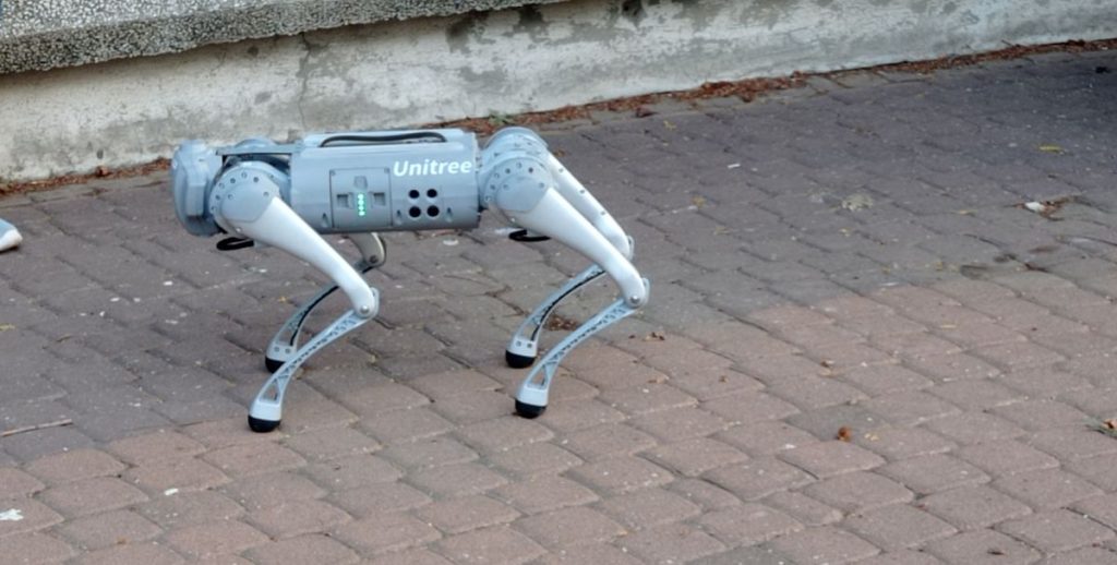 robot dog