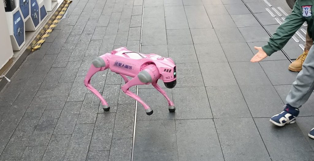 robot dog