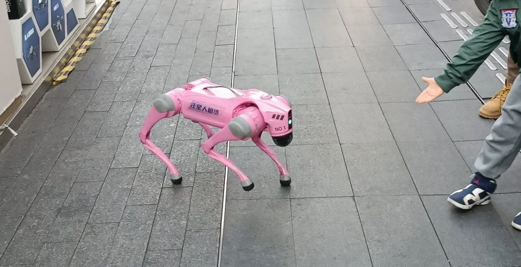 robot dog