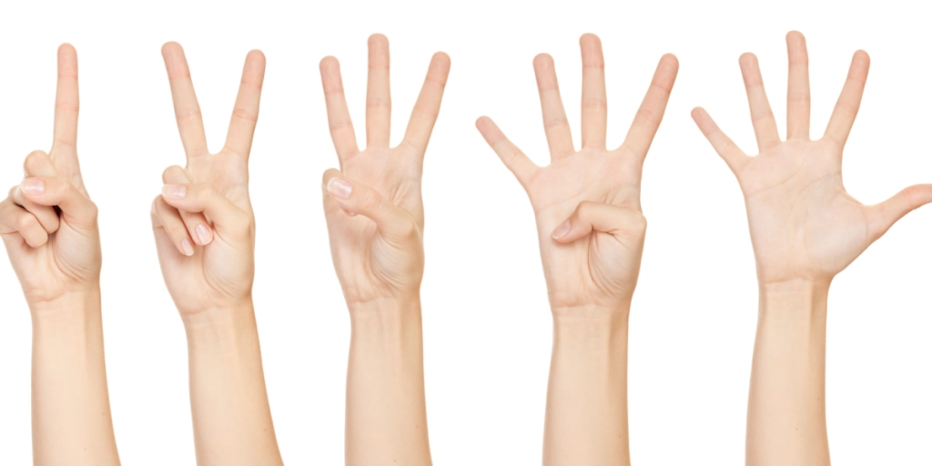 hands, showing, 1 finger, 2, fingers, 3, fingers, 4, fingers, 5, fingers