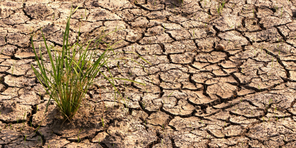 Draught, dry land