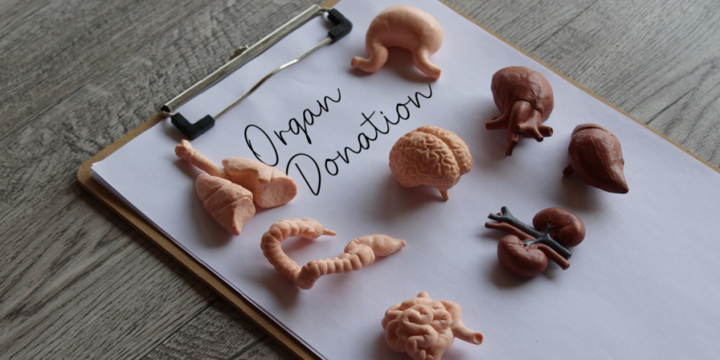 Organ donation
