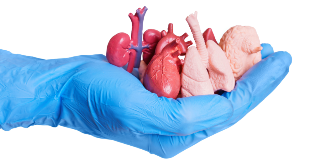 Organ donation