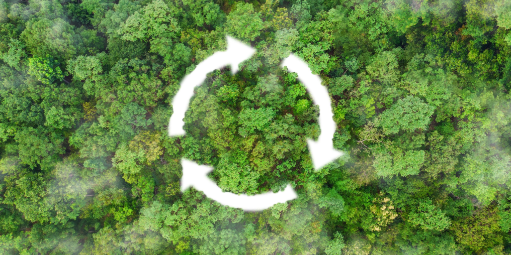 CO2 neutral