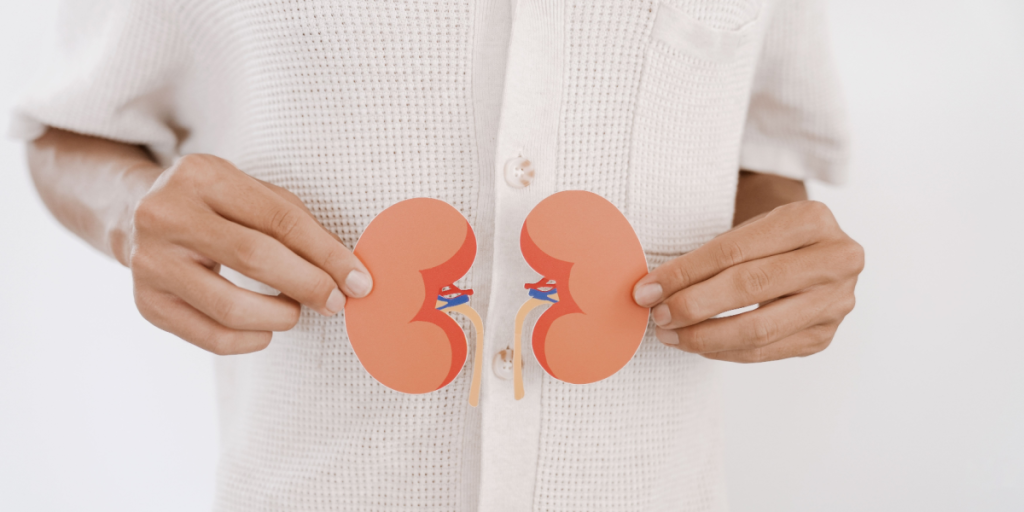 Kidney