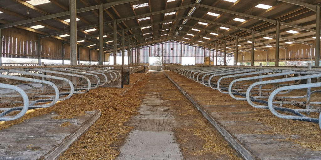 Empty barn, agriculture, bankrupt
