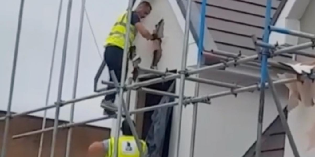 Handyman