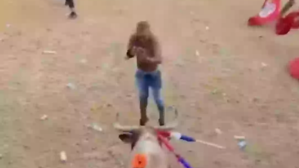 Tyrefægter colombia
