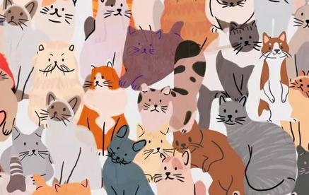 Ser du hundene som gjemmer seg blant kattene?