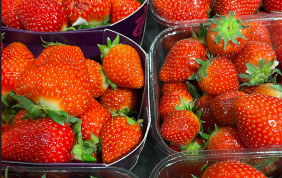 Nyt middel kan fjerne mellem 86 og 96% af pesticiderester fra frugt – samtidig med at forlænge holdbareheden