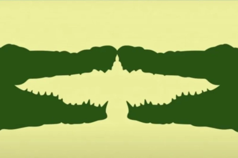 Optisk illusjon illusion, crocodile, eagle, hjernetrim