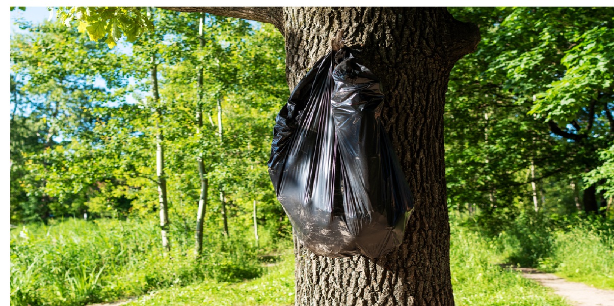 Hvis du ser en plastpose i et tre, må du reagere umiddelbart