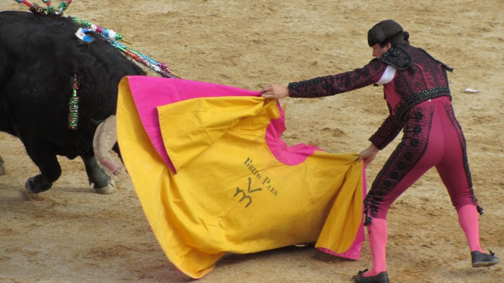 Bullfighter Killed in Portugal After Brutal Bull Attack Before Live Audience