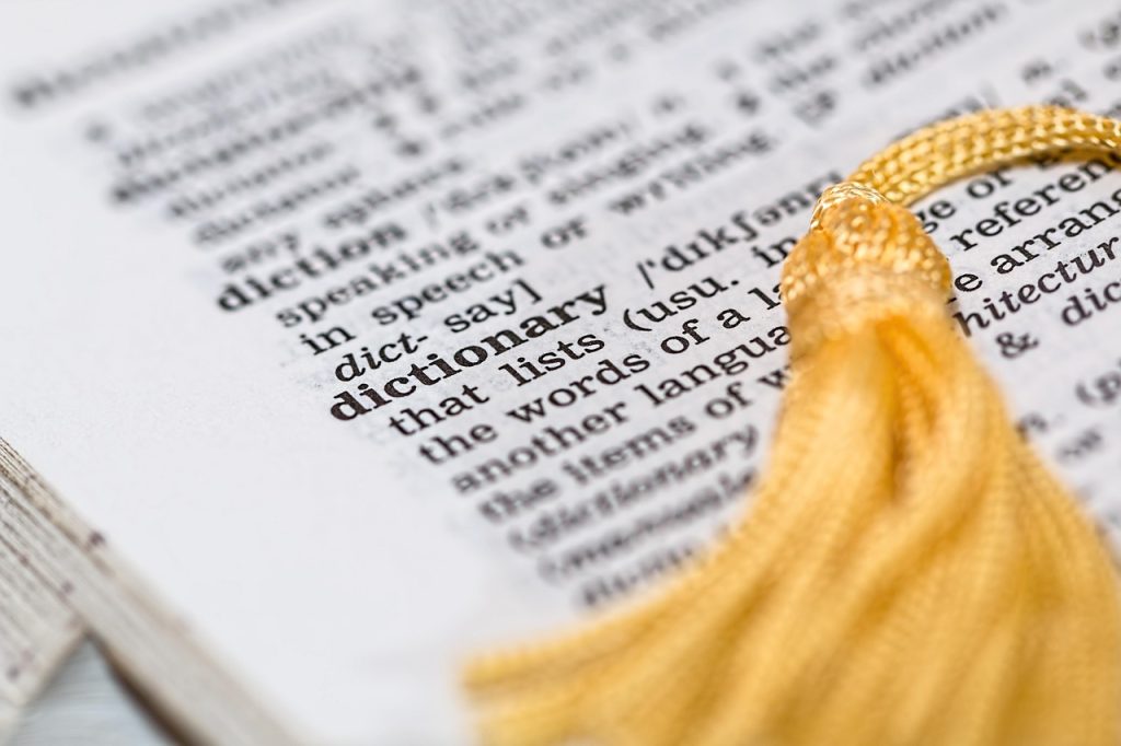 Cambridge Dictionary Adds ‘Skibidi,’ ‘Delulu,’ and Other Online Slang