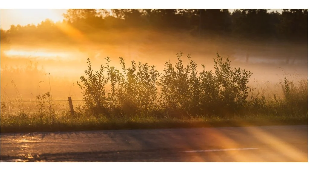 foggy weather sunshine