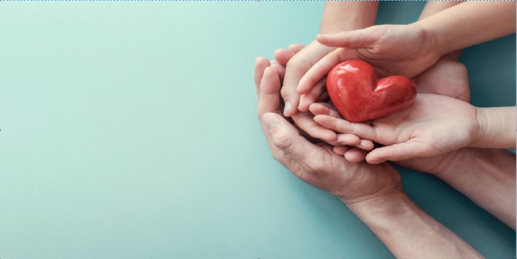 organ donation heart