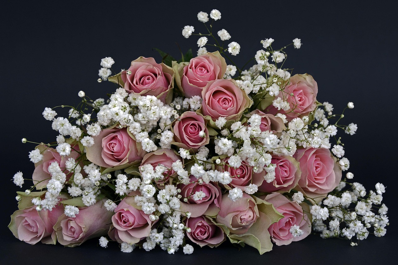 roses