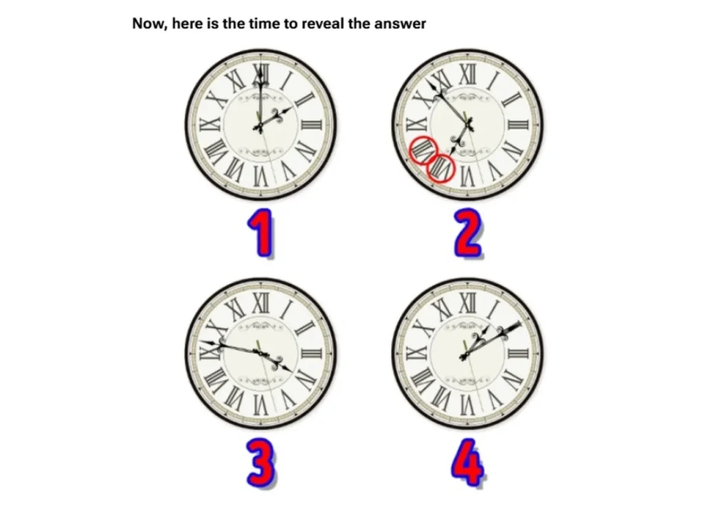 Quiz, hjernetrim