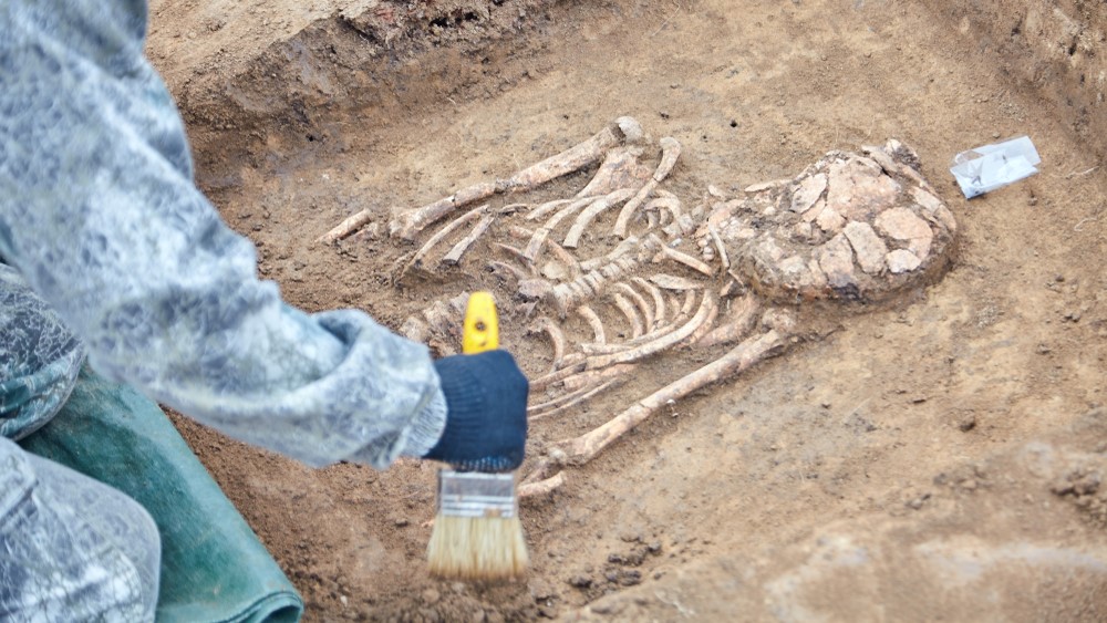 Forskere opklarer gådefuldt mord – 700 år efter at det fandt sted