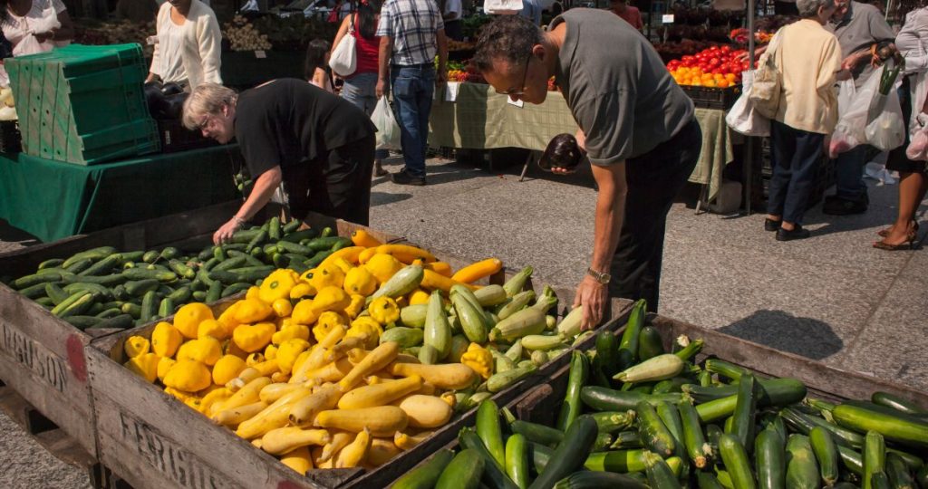 zucchini squash
