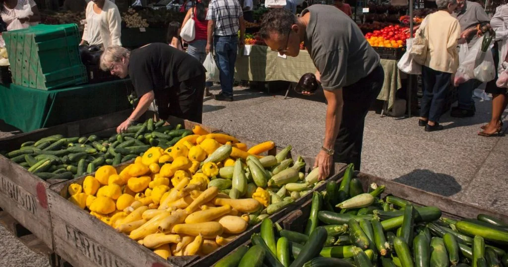 zucchini squash