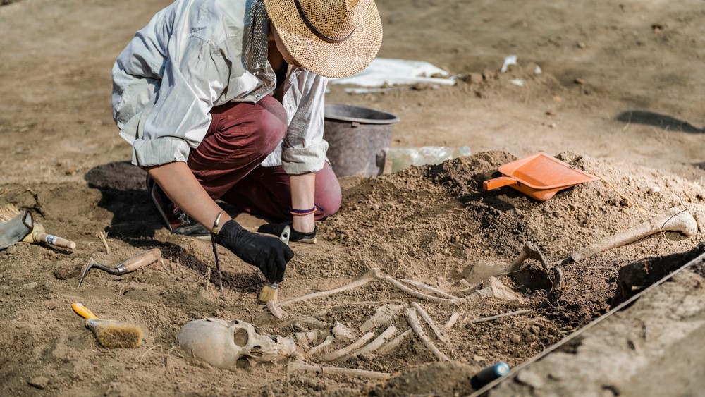 skeleton, archeology