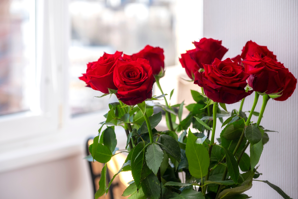 Gorgeous,Bouquet,Of,Roses.,Bright,Bloody,Red,Buds,And,Lush