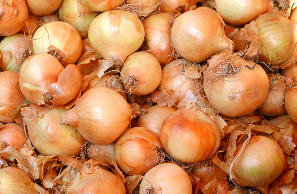 Onions, løg