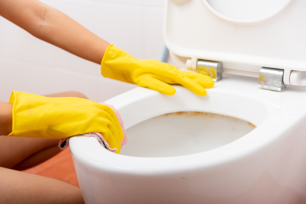 Hands,Of,Asian,Woman,Cleaning,Toilet,Seat,By,Pink,Cloth, gloves