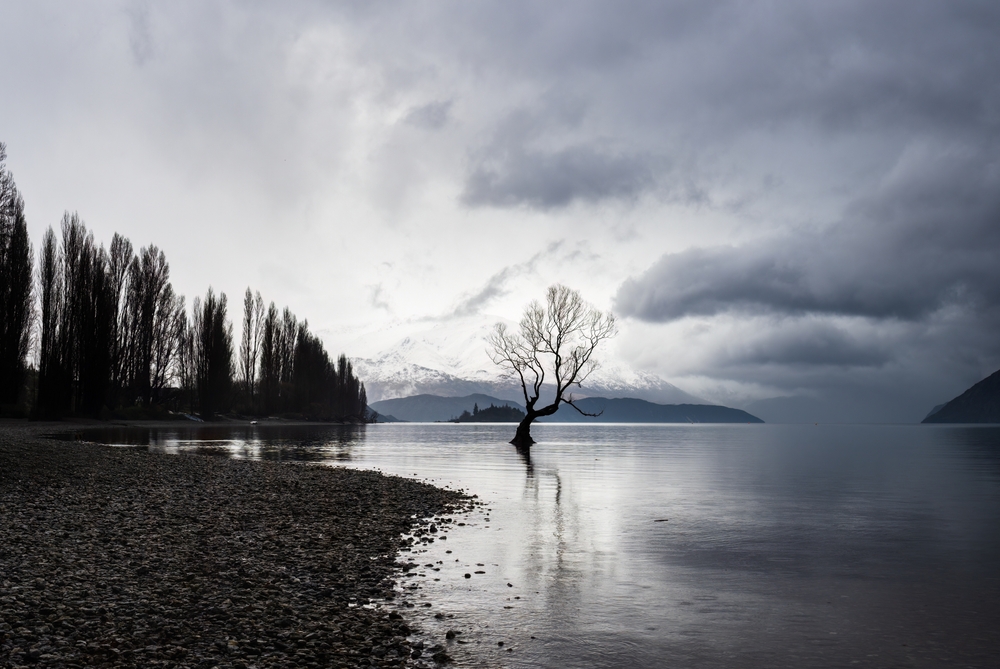 rain, wet, lake, regn, vått, vådt, vær, vejr, weather, grey, gråt, grått