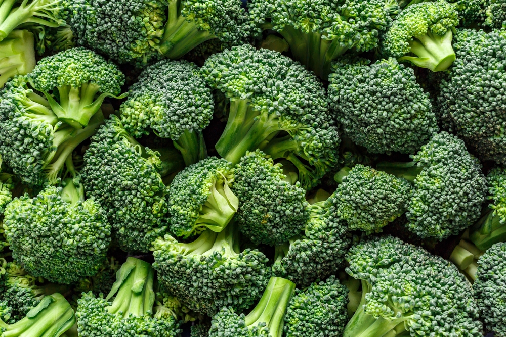 Macro,Photo,Green,Fresh,Vegetable,Broccoli.,Fresh,Green,Broccoli,On