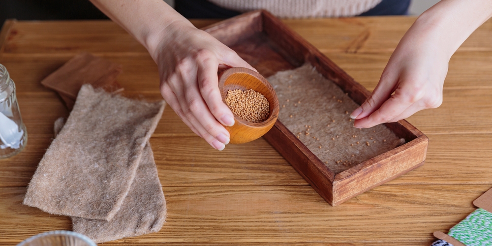 Gartenexperte verrät fünf Samen, die im April gesät werden sollten