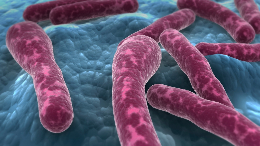 Microscopic,View,Of,Clostridium,Botulinum,Bacteria., madforgiftning, bakterie