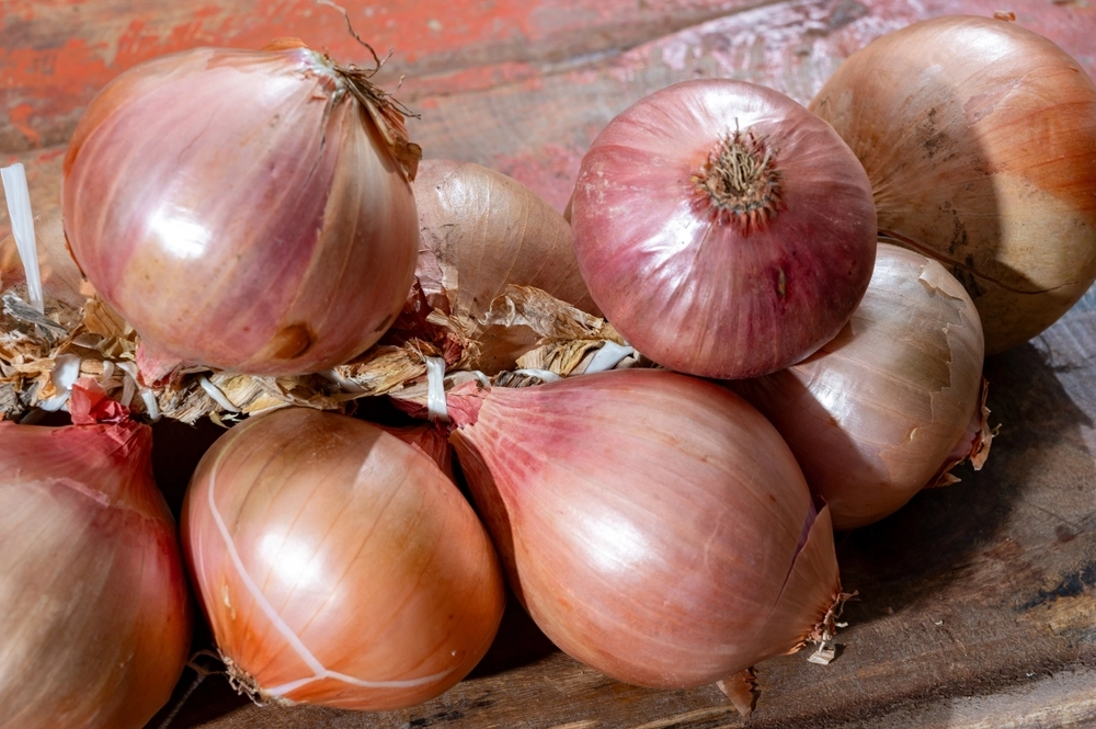 Onions, l&oslash;g