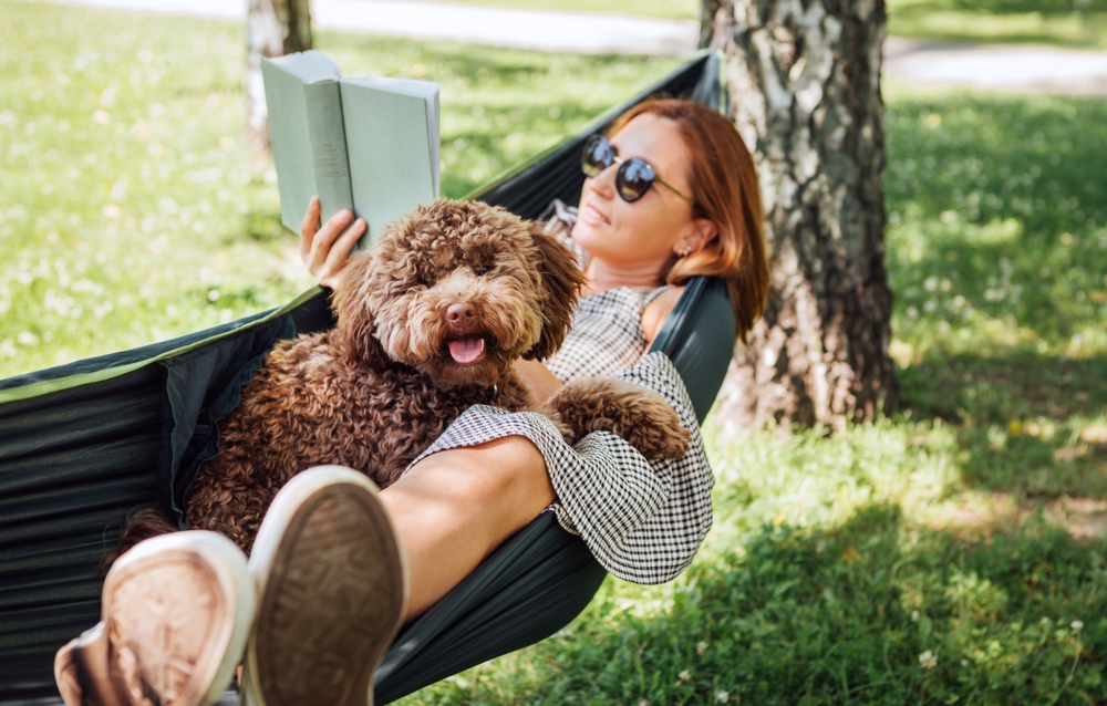 Book,Relaxing,Hammock,Dog,summer, sommer, hængekøje, hengekøye, hund, bog, bok