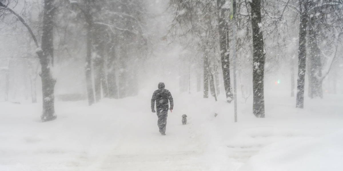 sne, snow