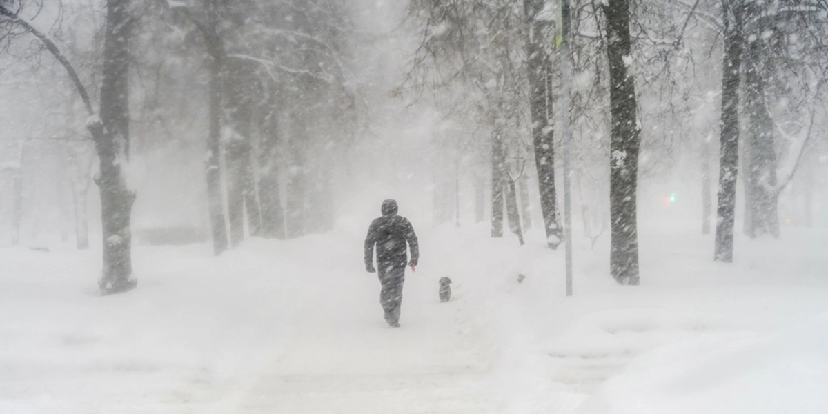 sne, snow