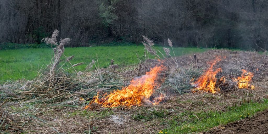 fire in field mark brand