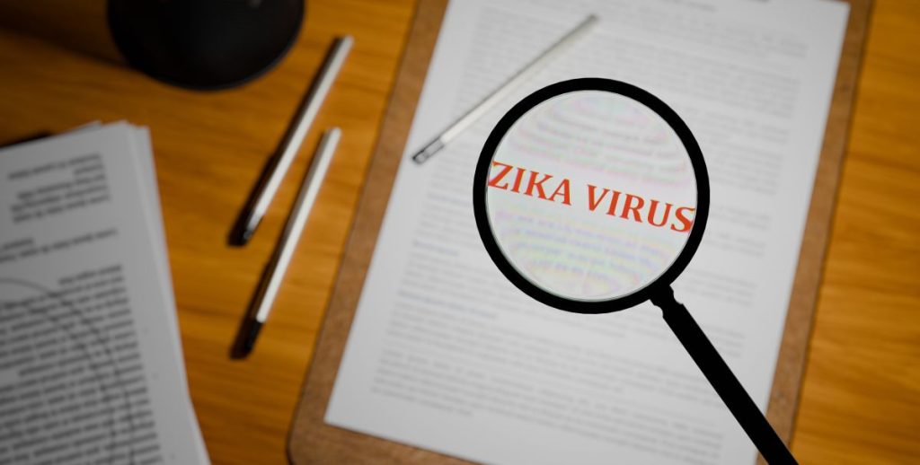 zika virus