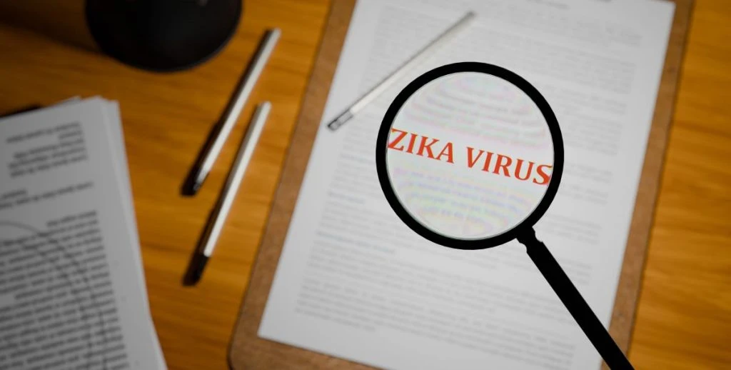 zika virus