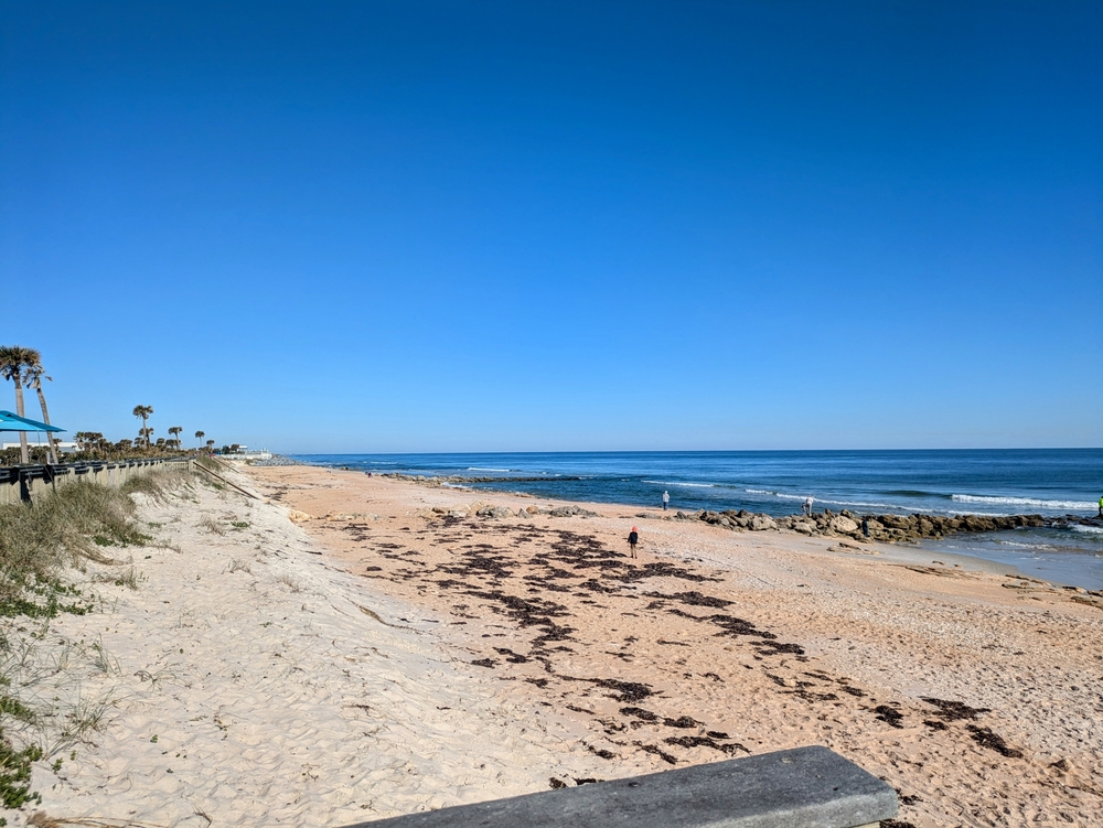 Flagler Beach,East Coast Florida, Strans, sand, tang, ferie, sommer
