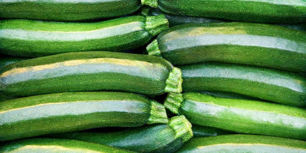 zucchini squash