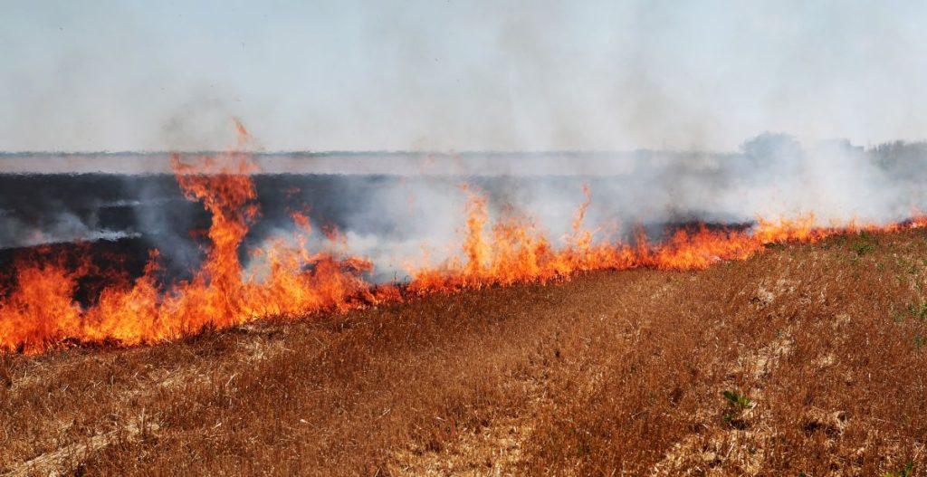 fire in field mark brand