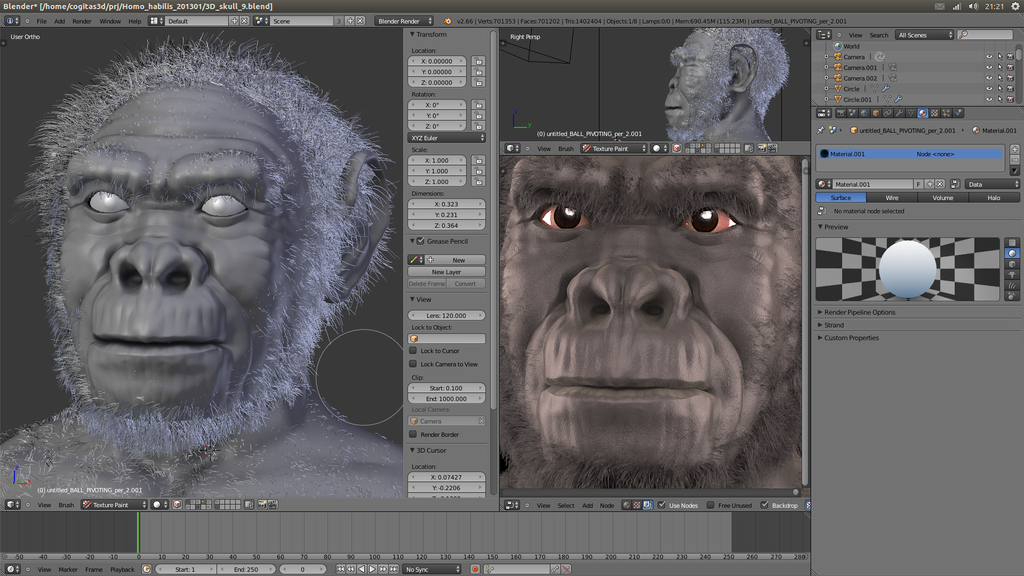 Screenshot Homo habilis