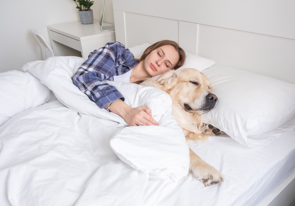 Sover du sammen med dit kæledyr? Dette fortæller det om dig