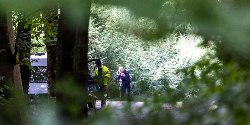 Person fundet død nær Skovtårnet: Politet undersøger muligt drab