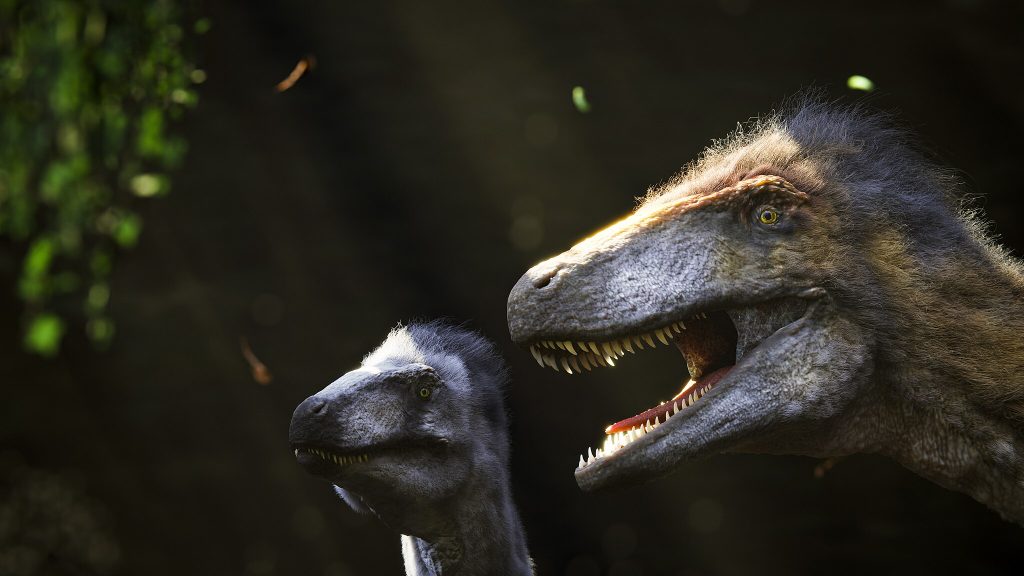 macrothorax dino