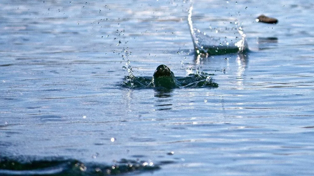 Stone Skipping smut