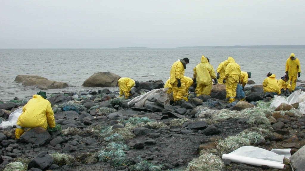 Workers clean up after oil spill on coast