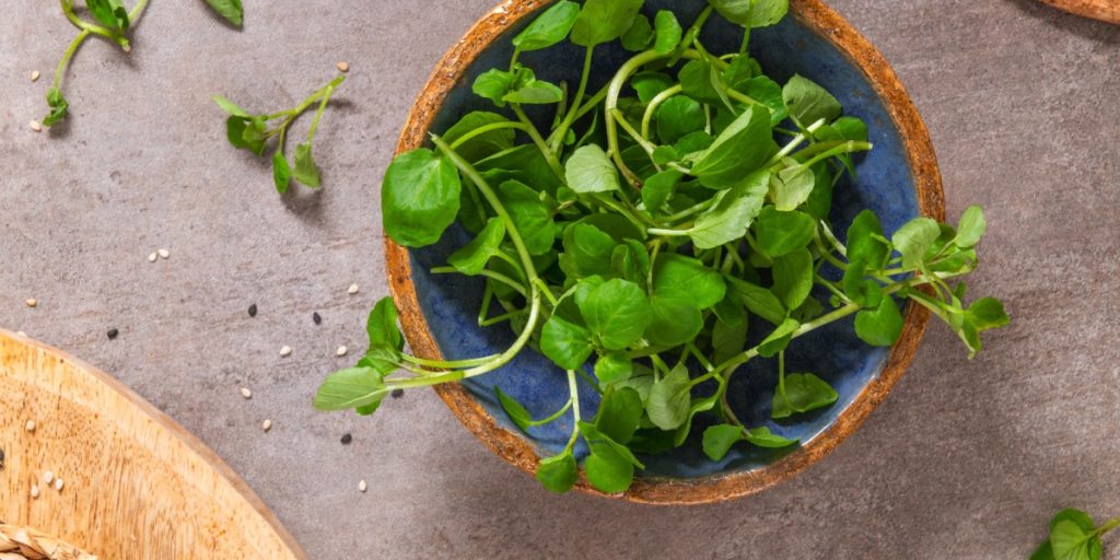 Watercress in a bowl